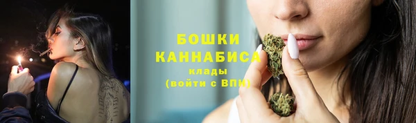 стаф Ладушкин