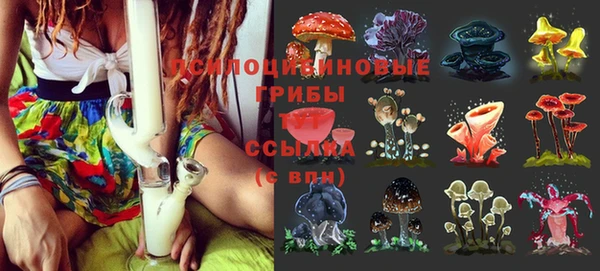 Альфа ПВП Кукмор