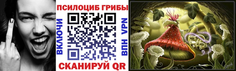 купить наркотик  Новый Уренгой  Галлюциногенные грибы Psilocybine cubensis 
