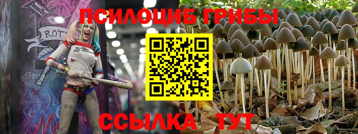 дарнет шоп  Вход с VPN  Новый Уренгой  Галлюциногенные грибы MAGIC MUSHROOMS 