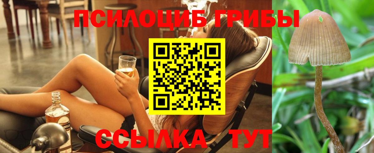 Псилоцибиновые грибы MAGIC MUSHROOMS Новый Уренгой